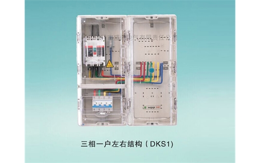 三相一戶左右結(jié)構(gòu)DKS1