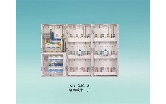 SD-DJC12湖南款電表箱十二戶