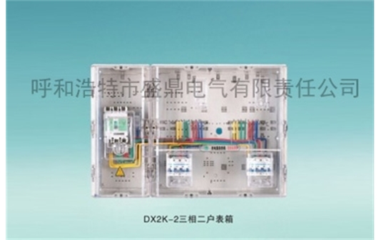 三相多表位表箱-DX2K-2三相二戶表箱